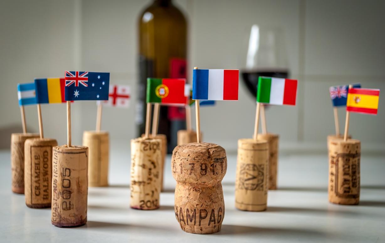 Bilan oiv 2019 conjoncture viticole mondiale